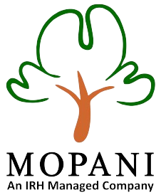 mopani